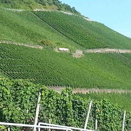 Weinhaus Hotel Zum Josefshof Graach Ngoại thất bức ảnh